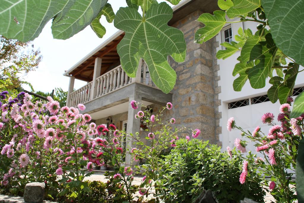 Castelo Dos Sonhos Hotel Valadares  Exterior photo